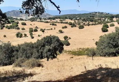 Località Codalai, Sarule, (Nuoro)