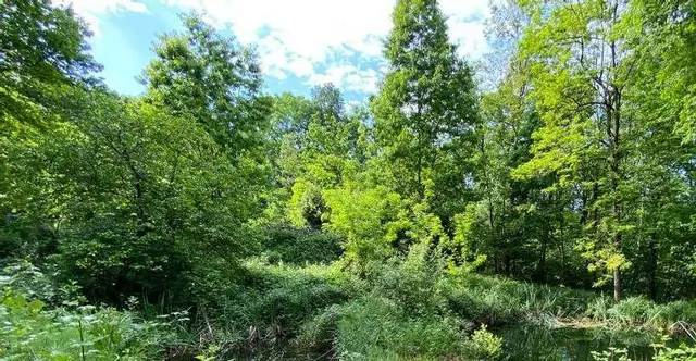 ., Bisuschio, (Varese)