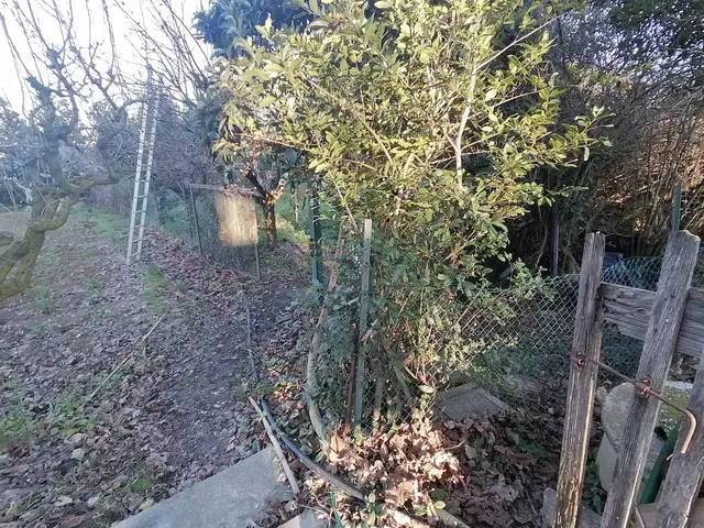 Alcide De Gasperi, 63844 Grottazzolina FM, Italia, Grottazzolina, (Fermo)