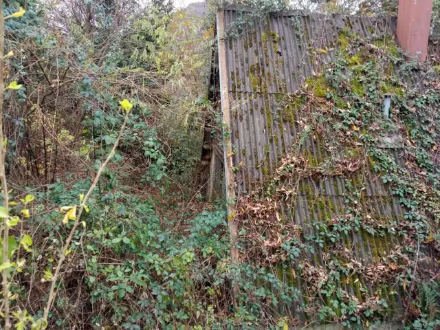 Localita' Granò E/57, Brezzo di Bedero, (Varese)