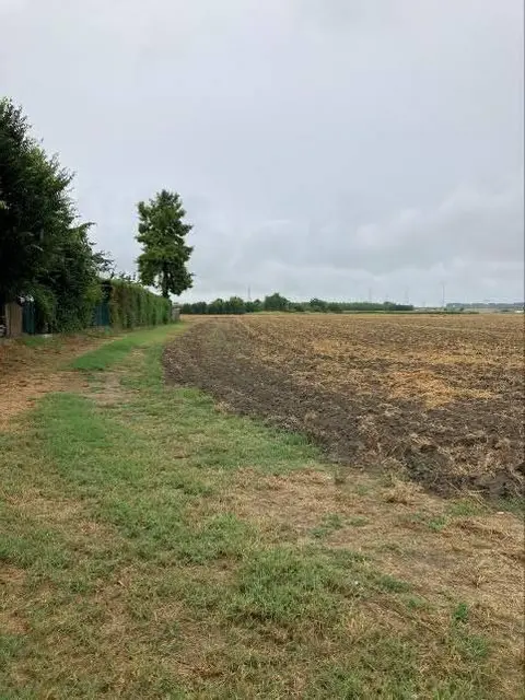 Via Rovigo, 46035 Ostiglia MN, Italia, Ostiglia, (Mantova)