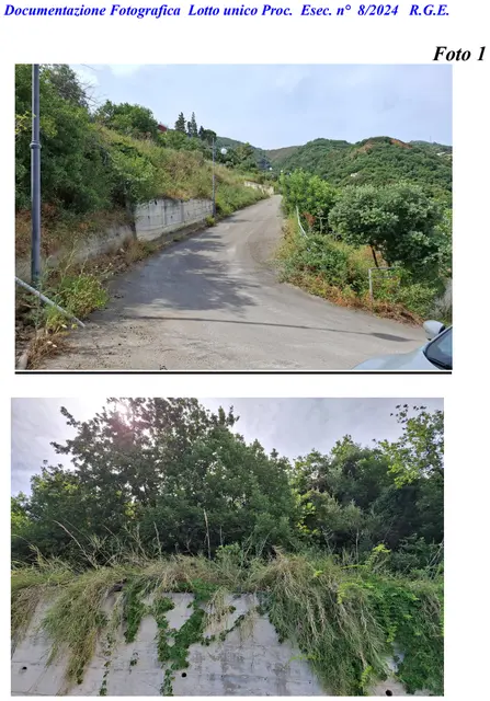 località Calanovella, Piraino, (Messina)