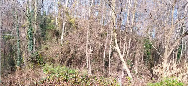 Frazione Cologna - Via del Pascolo, Castello di Brianza, (Lecco)