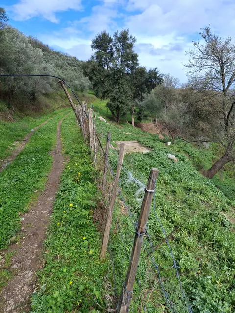 contrada Molina, Mirto, (Messina)
