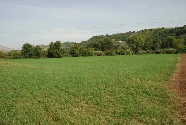 Via Dogana, 02047 Poggio Mirteto Scalo RI, Italia, Poggio Mirteto, (Rieti)