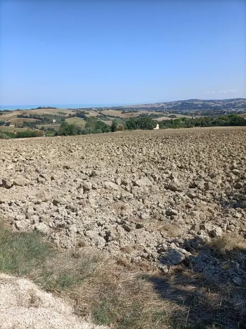 Via Buona Cesta Maggiore snc, Mondolfo, (Pesaro e Urbino)
