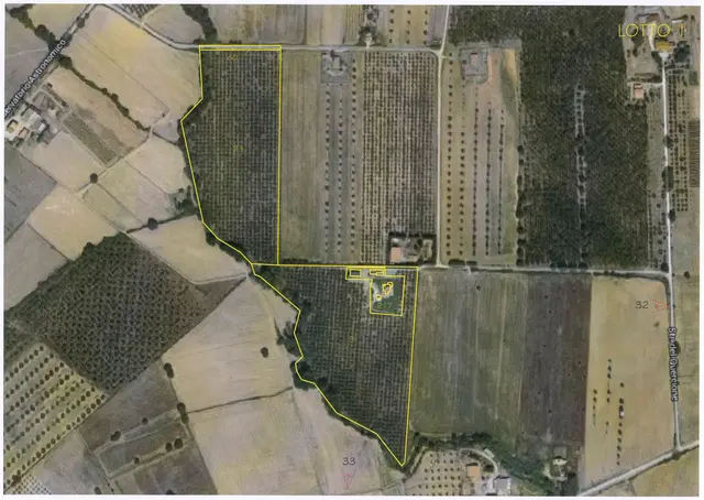 Localita' Poggio alle Conce snc, Grosseto, (Grosseto)