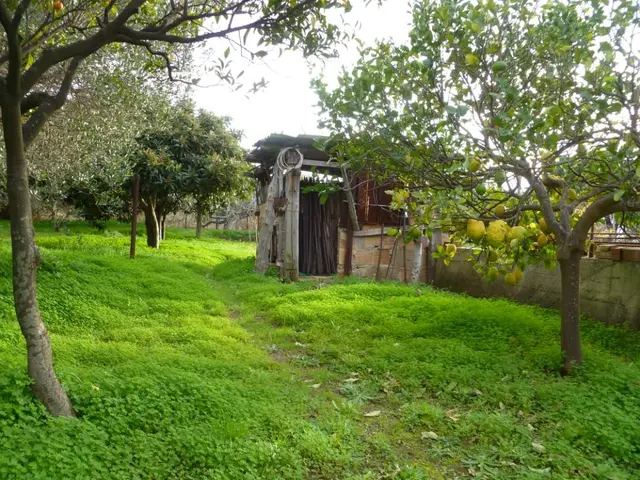Via Sacerdote Scopelliti, Campo Calabro, (Reggio di Calabria)