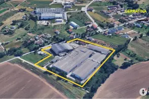 Via dei Platani, Strada Provinciale n. 30, Cepagatti PE, Italia, Cepagatti, (Pescara)