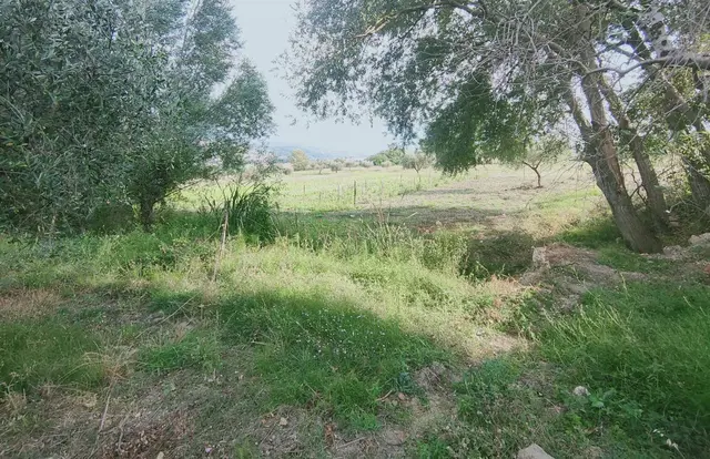 Localita' Querce Gasparre - Via Strada Comunale Spaccatore, Oliveto Citra, (Salerno)