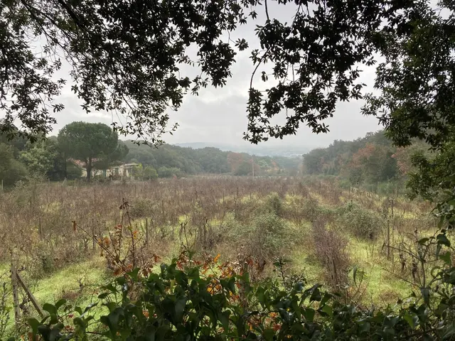 Regione Campu di Idda Loc. Brottu, Tempio Pausania, (Sassari)