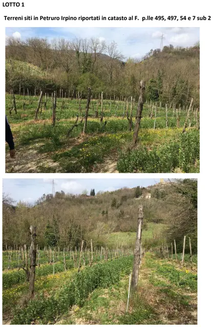 frazione Chianchetelle, via Campo del Pelo, Chianche, (Avellino)