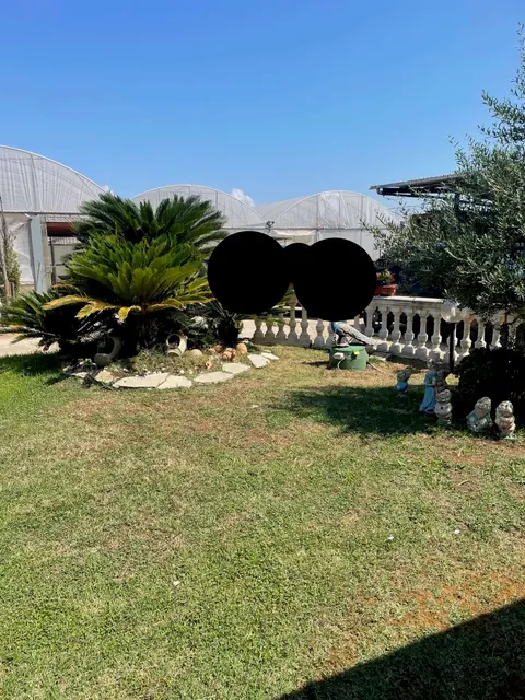 Str. dell'Amaseno, 12, 04019 Terracina LT, Italia, Terracina, (Latina)