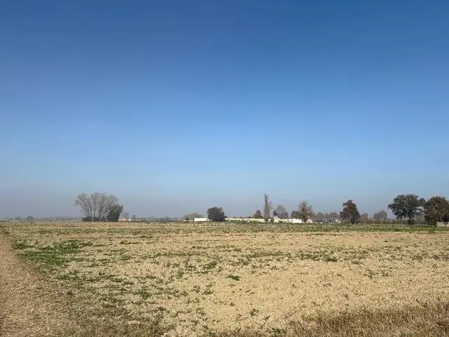 -, Molinella, (Bologna)