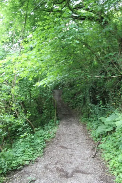 Via tagliamento snc, Besana in Brianza, (Monza e della Brianza)