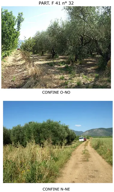 LOC. FICO, Fondi, (Latina)