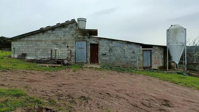 Località Murru Cogone, Samugheo, (Oristano)