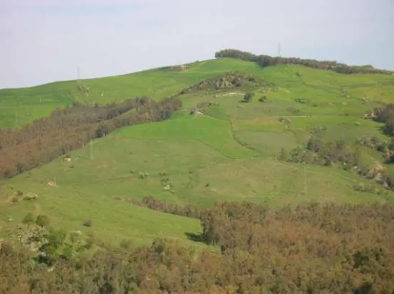C/da Bongiovanni, Agira, (Enna)