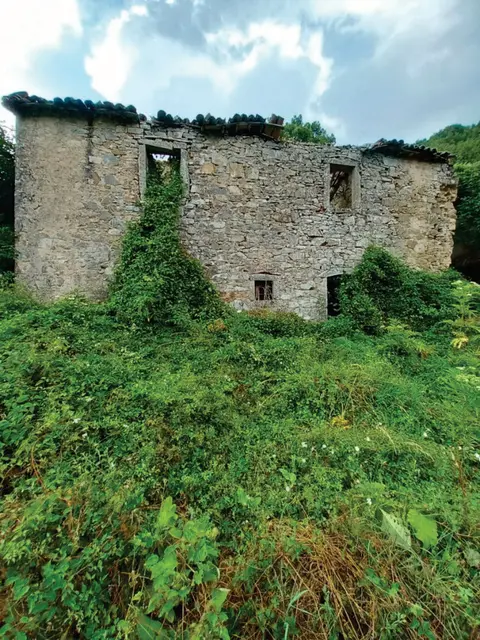Località salaiola, Arcidosso, (Grosseto)