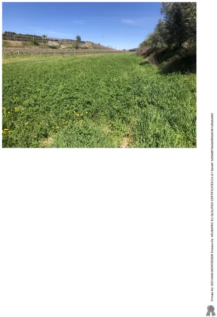 fraz. Palazzolo, Via Barbarago, 9, Sona, (Verona)