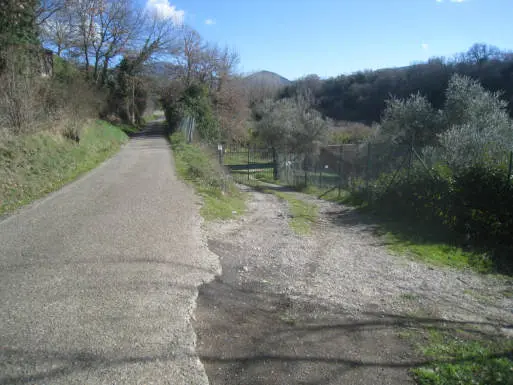 strada Ferriera Morello snc, Viterbo, (Viterbo)