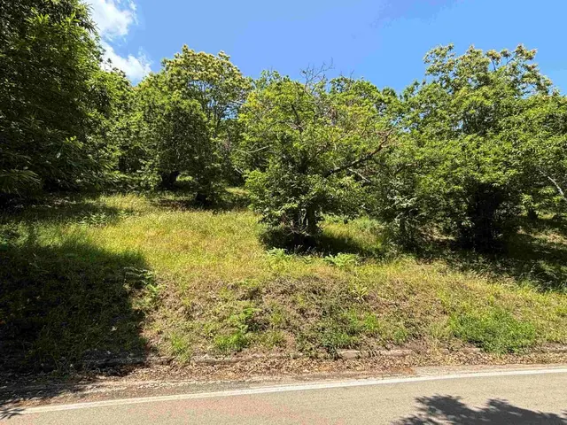 SP90, 81035 Grottola CE, Italia, Marzano Appio, (Caserta)
