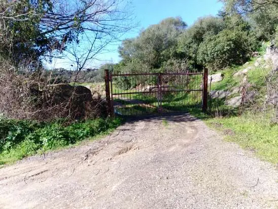 LOCALITA SU FERULARGIU, Orotelli, (Nuoro)