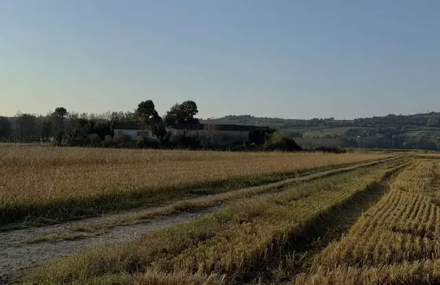 Str. Antica di Morano, 32, 15033 Casale Monferrato AL, Italia, Casale Monferrato, (Alessandria)