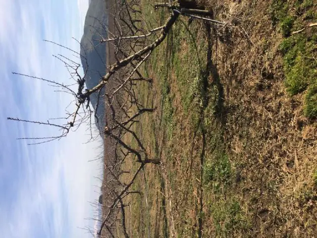 Località Casaquinta snc, Teano, (Caserta)
