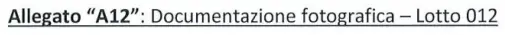 Via Monmartino s.n.c., Pallare, (Savona)