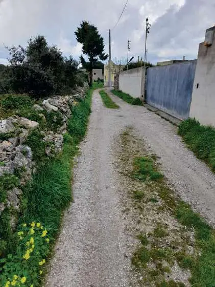 via comunale Venzi Bosco, Alessano, (Lecce)