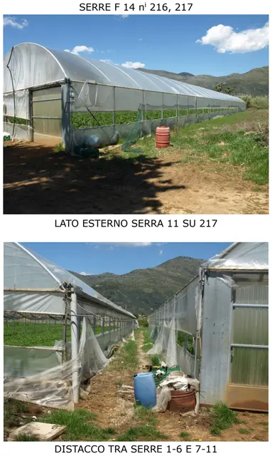 loc. Rene, Fondi, (Latina)