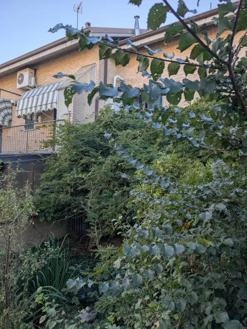Str. Arcone, 27058 Voghera PV, Italia, Voghera, (Pavia)