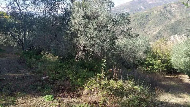 Via Roma 11/13, Trivento, (Campobasso)