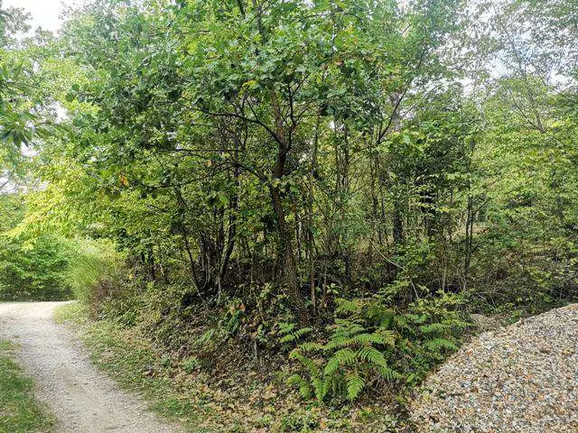 Localita' Il Saltino - Le Caselle - Via di Vezzana snc, Barberino di Mugello, (Firenze)