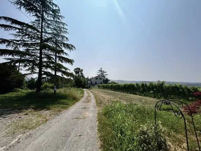 Cà San Lorenzo 27, Vignale Monferrato, (Alessandria)