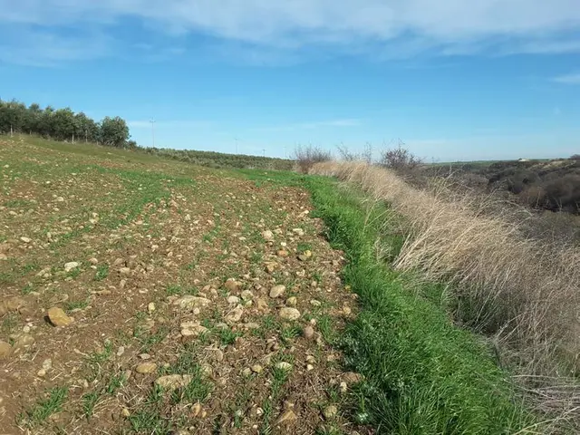 Agro di Venosa, Venosa, (Potenza)