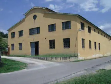 FRAZ. PIANTRAVIGNE N. 60, Terranuova Bracciolini, (Arezzo)