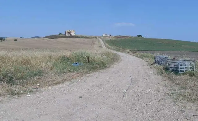 contrada casone dell'abate, Serracapriola, (Foggia)