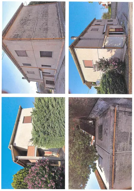 RUINA, Via Collegio, Riva del Po, (Ferrara)