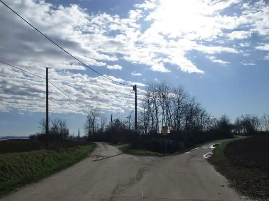 strada vecchia di Novi, Sale, (Alessandria)