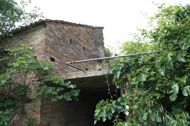 Contrada Paganelli  37, Petritoli, (Fermo)