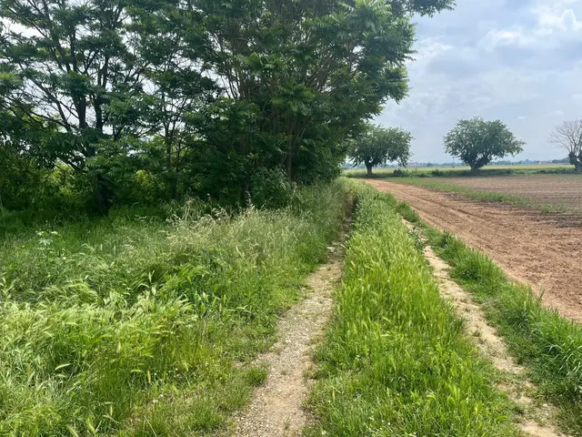Frazione Spinetta Marengo, Alessandria, (Alessandria)